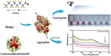 Graphical abstract: Colorimetric visualization detection of perfluorooctanoic acid based on host–guest interactions with cyclodextrin-modified gold nanoparticles