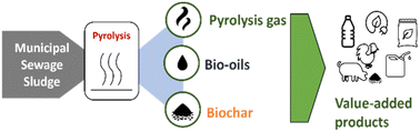 Graphical abstract: Pyrolysis of municipal sewage sludge: challenges, opportunities and new valorization routes for biochar, bio-oil, and pyrolysis gas