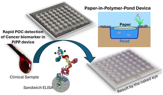 Graphical abstract: A paper-in-polymer-pond (PiPP) hybrid microfluidic microplate for multiplexed ultrasensitive detection of cancer biomarkers