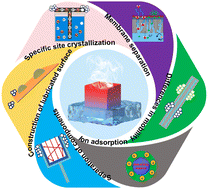 Graphical abstract: Multifunctional solar-driven interfacial evaporation system for simultaneous clean water production and high-value-added ion extraction