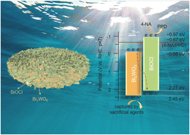 Graphical abstract: Active site-exposed Bi2WO6@BiOCl heterostructures for photocatalytic hydrogenation of nitroaromatic compounds