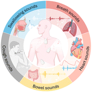 Graphical abstract: Flexible, wearable mechano-acoustic sensors for body sound monitoring applications