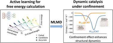 Graphical abstract: Entropy in catalyst dynamics under confinement