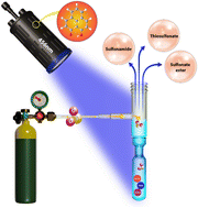 Graphical abstract: An organophotocatalytic redox-neutral strategy for late-stage drug functionalization with SO2 gas
