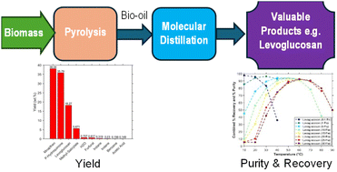 Graphical abstract: Process simulation of the integration of molecular distillation with fast pyrolysis of biomass for sustainable fuel production