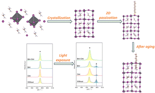 Graphical abstract: Mixed 2D-cation passivation towards improved durability of perovskite solar cells and dynamics of 2D-perovskites under light irradiation and at high temperature