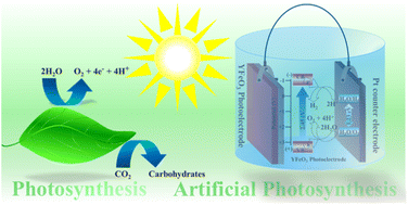 Graphical abstract: YFO photocathode fabricated via spray pyrolysis for unassisted solar water splitting for generation of hydrogen fuel