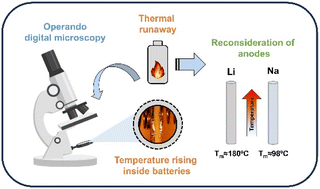 Graphical abstract: The Achilles’ heel of batteries with alkali metal electrodes