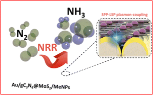 Graphical abstract: Enhanced photoelectrochemical nitrogen reduction to ammonia by a plasmon-active Au grating decorated with the gC3N4@MoS2 heterosystem and plasmon-active nanoparticles