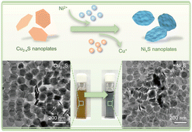 Graphical abstract: Strategic cation exchange induced 2D nickel sulphide nanoplates with enhanced oxygen evolution reaction performance