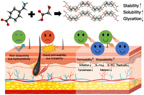 Graphical abstract: A supramolecular tranexamic acid with enhanced permeability and bioactivity