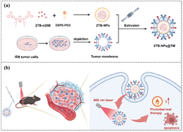 Graphical abstract: Biomimetic NIR-II aggregation-induced emission nanoparticles for targeted photothermal therapy of ovarian cancer