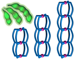 Graphical abstract: Multi-cavity discrete coordination cages encapsulating up to four units of pyrazine-N,N′-dioxide: molecular soybeans