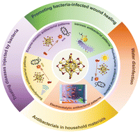 Graphical abstract: Ultrasmall coinage metal nanoclusters as promising antibacterial agents: from design to applications