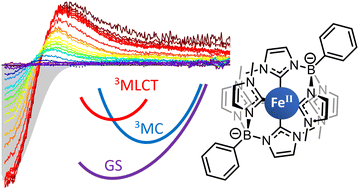 Graphical abstract: Shining light on the ferrous analogue: excited state dynamics of an Fe(ii) hexa-carbene scorpionate complex