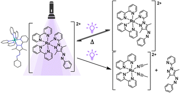 Graphical abstract: Ruthenium(ii) complexes with photoswitchable and photoejectable ligands