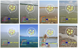 Graphical abstract: Evidently diverse effects of silver nanoparticles on Vibrio parahaemolyticus across different estuarine water samples
