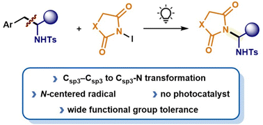 Graphical abstract: Visible-light-initiated metal-free Csp3–Csp3 to Csp3–N conversion in homobenzylic sulfonamides with N-iodoimides