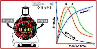 Graphical abstract: Real-time capture of reactive intermediates in an enzymatic reaction: insights into a P450-catalyzed oxidation