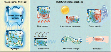Graphical abstract: Solid–liquid phase change materials meet hydrogels: syntheses and multifunctional applications
