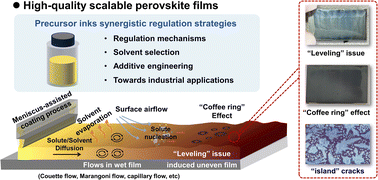 Graphical abstract: Rational regulation strategies toward perovskite precursor inks and perovskite films from the lab to commercialization