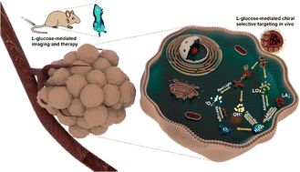 Graphical abstract: Lactate-depleted pillar[5]arene-based chiral supramolecular nanovesicles for l-glucose-mediated tumor-specific chemodynamic- and photodynamic-synergistic therapy