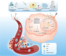 Graphical abstract: Lyophilized tumour cell-loaded 10B-doped carbon dots for simultaneous boron neutron capture therapy and enhancement of antitumor immunity of prostate cancer