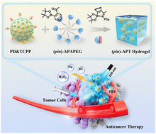Graphical abstract: Smart polydopamine nanodot-knotted hydrogels for photodynamic tumor therapy