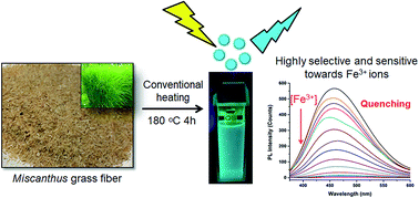 Graphical abstract: Retracted Article: Miscanthus grass-derived carbon dots to selectively detect Fe3+ ions
