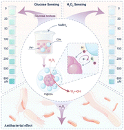 Graphical abstract: Carbon dot enhanced peroxidase-like activity of platinum nanozymes