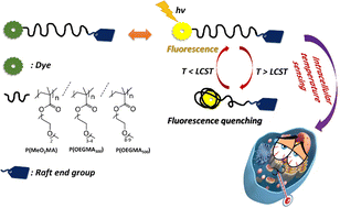 Graphical abstract: Design of fluorescent polymeric thermometers based on anthrapyrazolone functionalized oligo(ethylene glycol) methacrylates