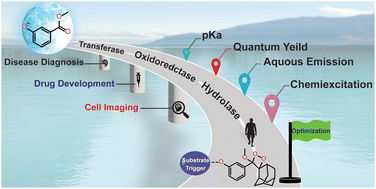 Graphical abstract: Phenoxy-1,2-dioxetane-based activatable chemiluminescent probes: tuning of photophysical properties for tracing enzymatic activities in living cells