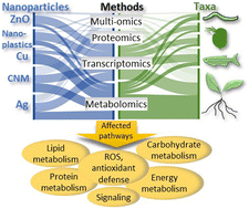 Graphical abstract: Omics approaches in environmental effect assessment of engineered nanomaterials and nanoplastics