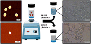 Graphical abstract: Oil-in-oil droplet stability dependence on dimensions of 2D Pickering particles of controlled size