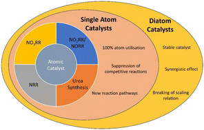 Graphical abstract: Single and dual-atom catalysts towards electrosynthesis of ammonia and urea: a review