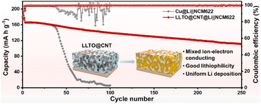 Graphical abstract: A 3D mixed ion-electron conducting framework for dendrite-free lithium metal anodes
