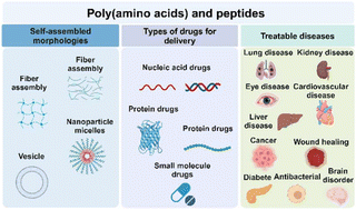 Graphical abstract: Recent advances in poly(amino acids), polypeptides, and their derivatives in drug delivery