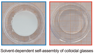 Graphical abstract: Self-assembled colloidal glass with 100% lanthanide nanocrystal loading for high-resolution X-ray imaging
