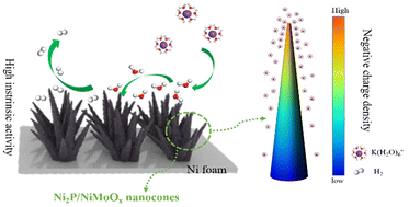 Graphical abstract: A Ni2P/NiMoOx nanocone electrocatalyst for efficient hydrogen evolution: tip-enhanced local electric field effect