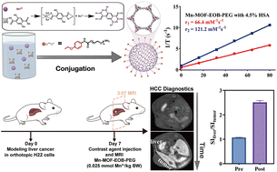 Graphical abstract: Mn(ii)-MOF nanoparticles conjugated with EOB-PEG as high-performance hepatobiliary-specific MRI contrast agents