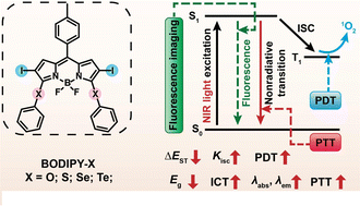 Graphical abstract: Chalcogen modification: one-step strategy for tuning the photophysical properties and NIR phototherapy of iodinated BODIPY