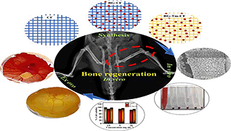 Graphical abstract: Cellulose-based bioactive material and turmeric-impregnated flexible and biocompatible scaffold for bone tissue engineering applications