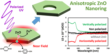 Graphical abstract: Optically anisotropic ZnO nanorings fabricated using near-field photoelectrochemistry