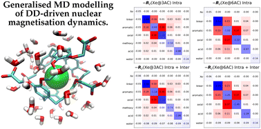 Graphical abstract: Multiscale modelling of nuclear magnetisation dynamics: spin relaxation, polarisation transfer and chemical exchange in 129Xe@cryptophane(aq) structures