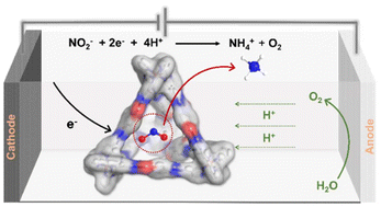 Graphical abstract: Construction of a metal–organic tetrahedral cage for boosting selective electrocatalytic reduction of nitrite to ammonium