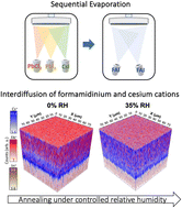 Graphical abstract: Interdiffusion control in sequentially evaporated organic–inorganic perovskite solar cells