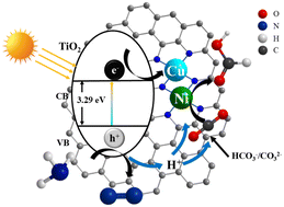 Graphical abstract: MOF-derived Ni–Cu bimetallic interface synergy modified TiO2 for efficient photocatalytic conversion of CO2 to formate in ammonia nitrogen wastewater