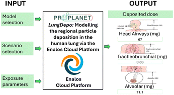Graphical abstract: LungDepo: modelling the regional particle deposition in the human lung via the Enalos Cloud platform