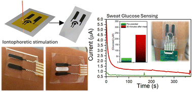Graphical abstract: Integrated iontophoresis and sweat sensing via paper-derived laser-induced graphene soft conductors