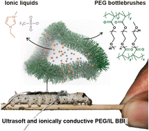 Graphical abstract: Ultrasoft, elastic, and ionically conductive polyethylene glycol/ionic liquid bottlebrush ionogels